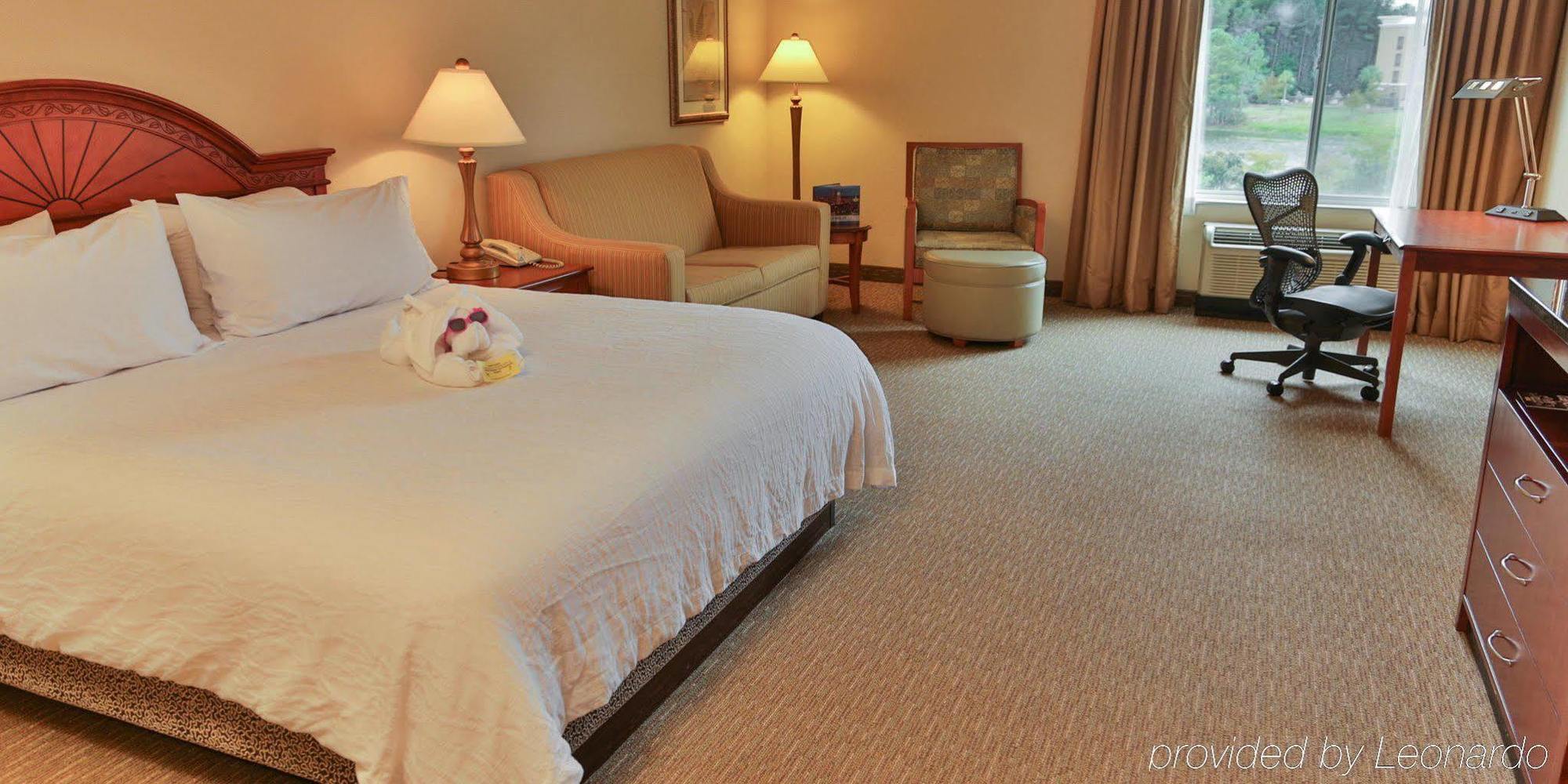 Hilton Garden Inn Savannah Airport Экстерьер фото